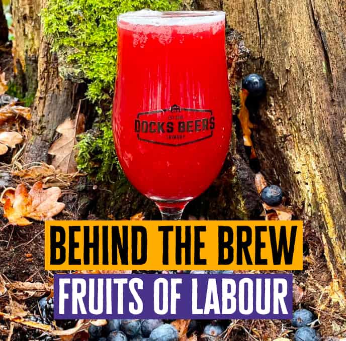 Behind the Brew: Fruits of Labour Triple Berry Sour